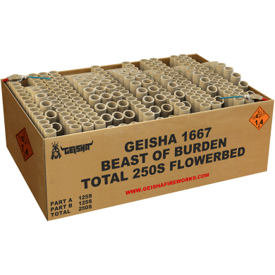 Beast Of Burden vuurwerk