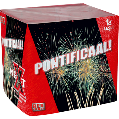 Pontificaal! vuurwerk