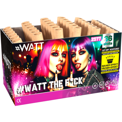 #Watt The F*ck vuurwerk